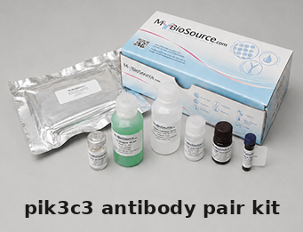 Human PIK3C3 Antibody Pair Kit – Cat# MBS2104108