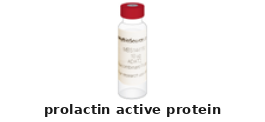 Prolactin
