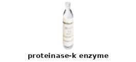 Enzyme – Cat# MBS653870