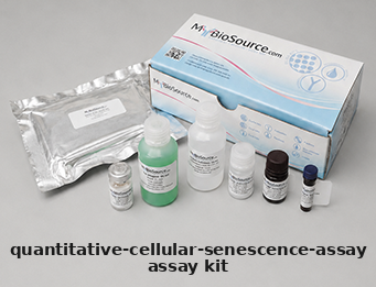 Assay Kit – Cat# MBS169055