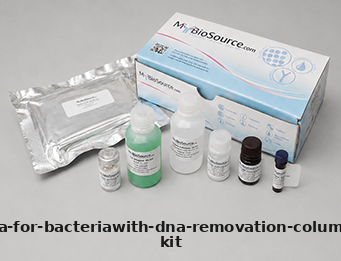 RNA Kit – Cat# MBS355951