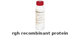 Growth Hormone