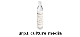 URP1 Culture Media – Cat# MBS556640