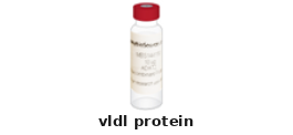 VLDL Protein – Cat# MBS173148