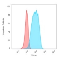 Flow Cytometric Analysis of Raji cells. CD20 Recombinant Mouse Monoclonal Antibody (rIGEL/773) followed bygoat anti-mouse IgG-CF488 (blue); isotype control (red).
