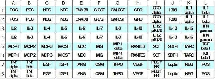 Human Cytokine Array C3