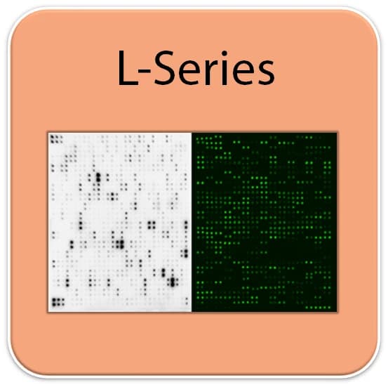 Mouse Proteome Profiling Array L308 (Glass Slide)