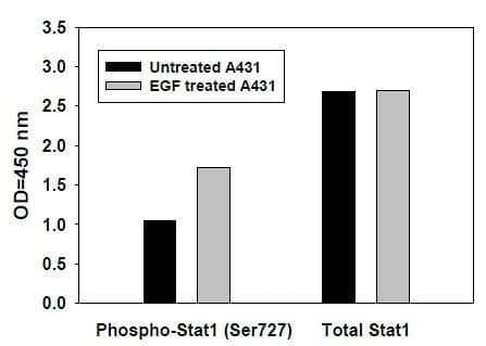 Phospho-Stat 1 (S727) ELISA Kit