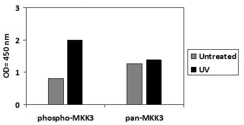 Phospho-MKK3 (S189) ELISA Kit
