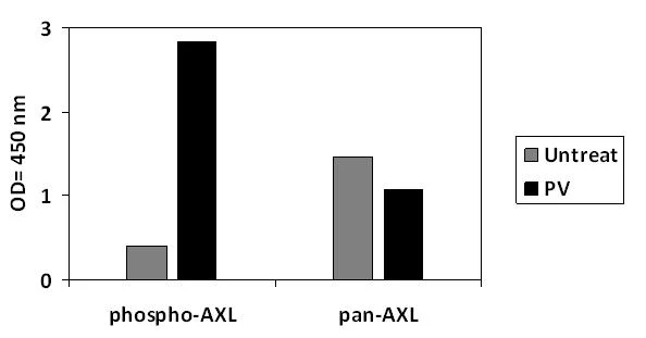 Human Phospho-AXL (Y779) ELISA Kit