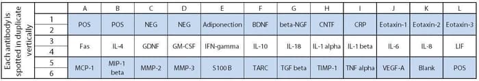Human Neuro Discovery Array C2