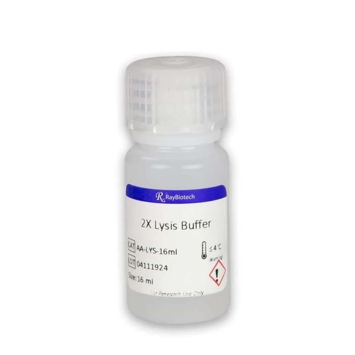 2X Lysis Buffer