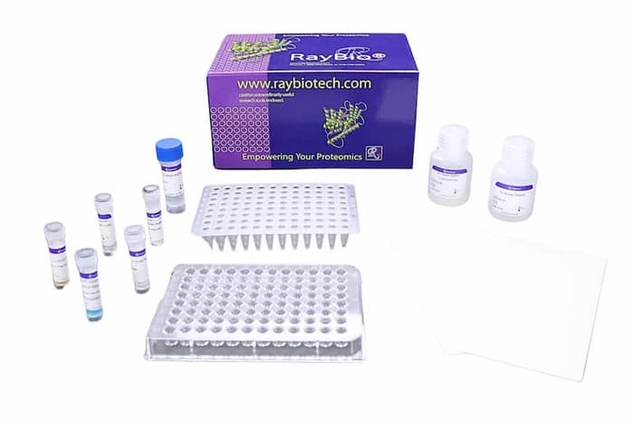 NexaTag® Rhesus Macaque IP-10 (CXCL10) qIPCR ELISA Kit