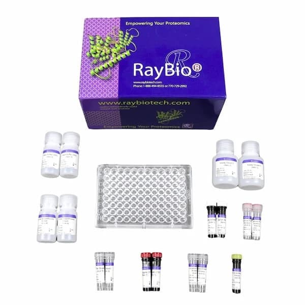 RayPlex® Human GM-CSF Bead Assay