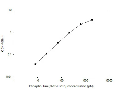 Phospho-Tau (Ser202/Thr205) Quantitative ELISA Kit