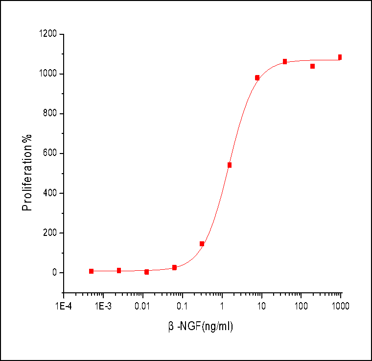 Beta-NGF Protein, Human, Recombinant