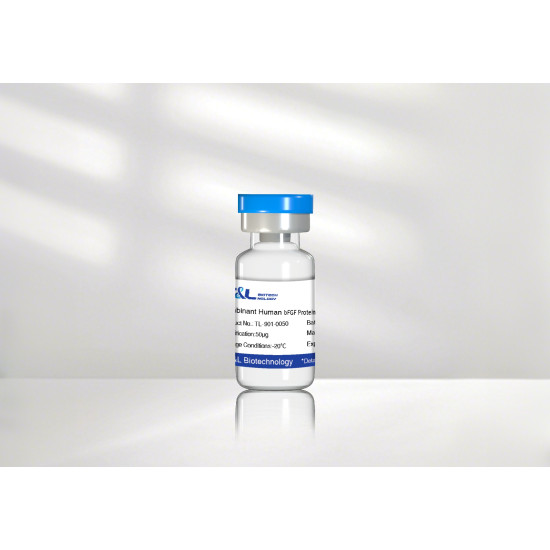 Recombinant Human bFGF Protein