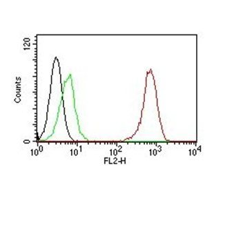 Monoclonal anti CD31 / PECAM 1 (C31.7)