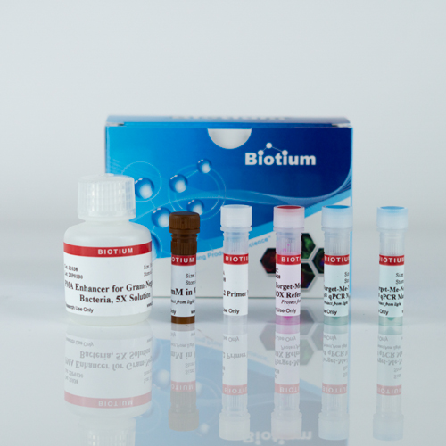PMA Real-Time PCR Bacterial Viability Kit – Mycobacterium tuberculosis (groEL2)