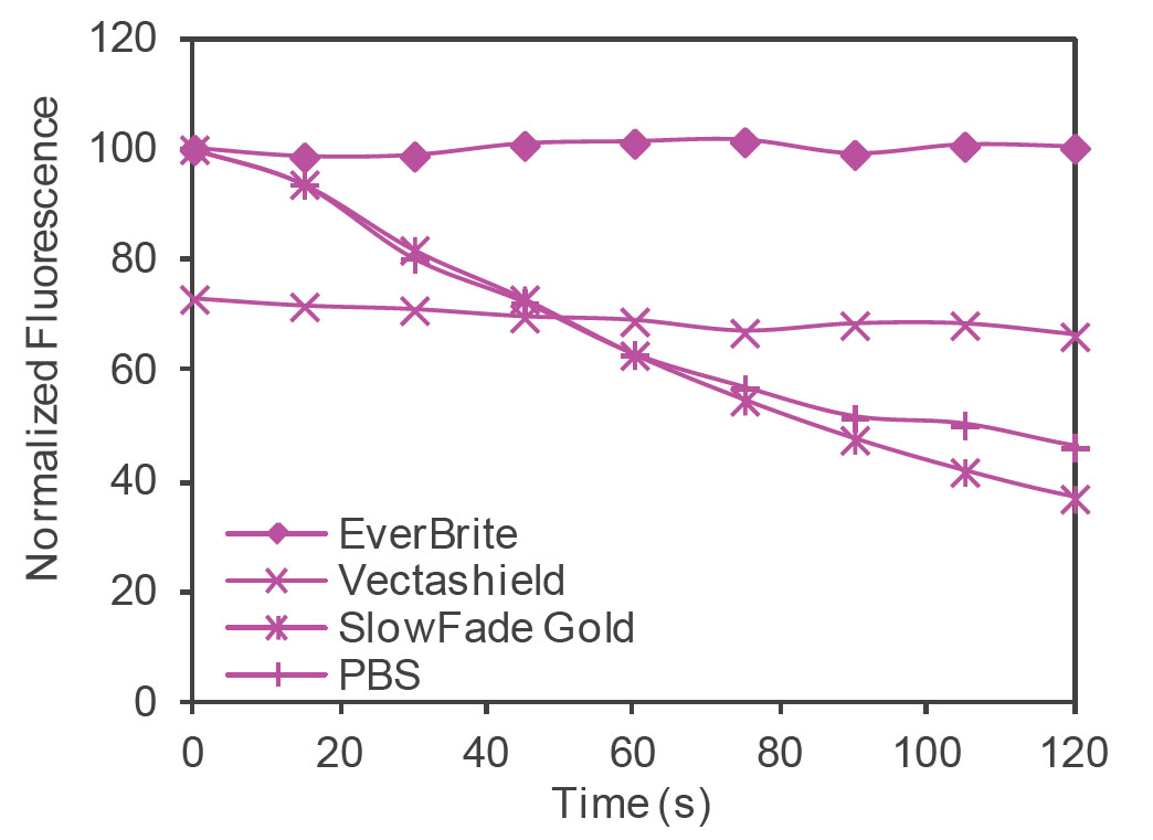 EverBrite™ Mounting Medium - Image 5