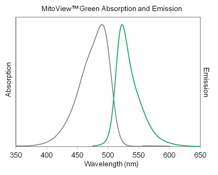 MitoView™ Mitochondrial Dyes - Image 12