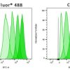 ViaFluor® SE Cell Proliferation Kits - Image 8