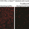 TrueBlack® IF Background Suppressor System (Permeabilizing) - Image 4