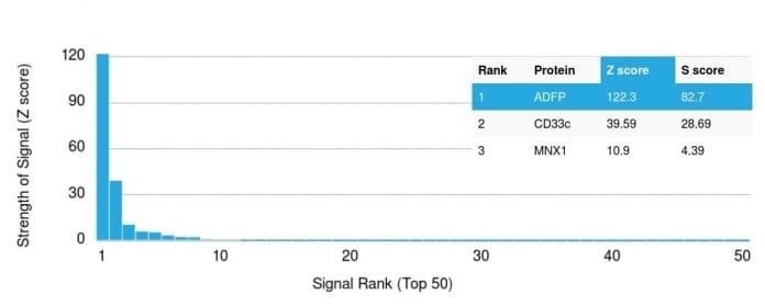 Analysis of Protein Array containing more than 19000 full-length human proteins using Adipophilin Mouse Monoclonal Antibody (ADFP/1366). Z- and S- Score: The Z-score represents the strength of a signal that a monoclonal antibody (MAb) (in combination with a fluorescently-tagged anti-IgG secondary antibody) produces when binding to a particular protein on the HuProtTM array. Z-scores are described in units of standard deviations (SDâs) above the mean value of all signals generated on that array. If targets on HuProtTM are arranged in descending order of the Z-score the S-score is the difference (also in units of SDâs) between the Z-score. S-score therefore represents the relative target specificity of a MAb to its intended target.  A MAb is considered to specific to its intended target if the MAb has an S-score of at least 2.5. For example if a MAb binds to protein X with a Z-score of 43 and to protein Y with a Z-score of 14 then the S-score for the binding of that MAb to protein X is equal to 29.