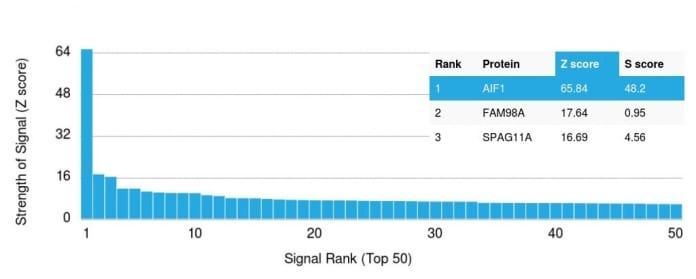 Analysis of Protein Array containing >19000 full-length human proteins using AIF1 Mouse Monoclonal Antibody (rAIF/1909) Z- and S- Score: The Z-score represents the strength of a signal that a monoclonal antibody (MAb) (in combination with a fluorescently-tagged anti-IgG secondary antibody) produces when binding to a particular protein on the HuProtTM array. Z-scores are described in units of standard deviations (SDâs) above the mean value of all signals generated on that array. If targets on HuProtTM are arranged in descending order of the Z-score the S-score is the difference (also in units of SDâs) between the Z-score. S-score therefore represents the relative target specificity of a MAb to its intended target. A MAb is considered to specific to its intended target if the MAb has an S-score of at least 2.5. For example if a MAb binds to protein X with a Z-score of 43 and to protein Y with a Z-score of 14 then the S-score for the binding of that MAb to protein X is equal to 29.