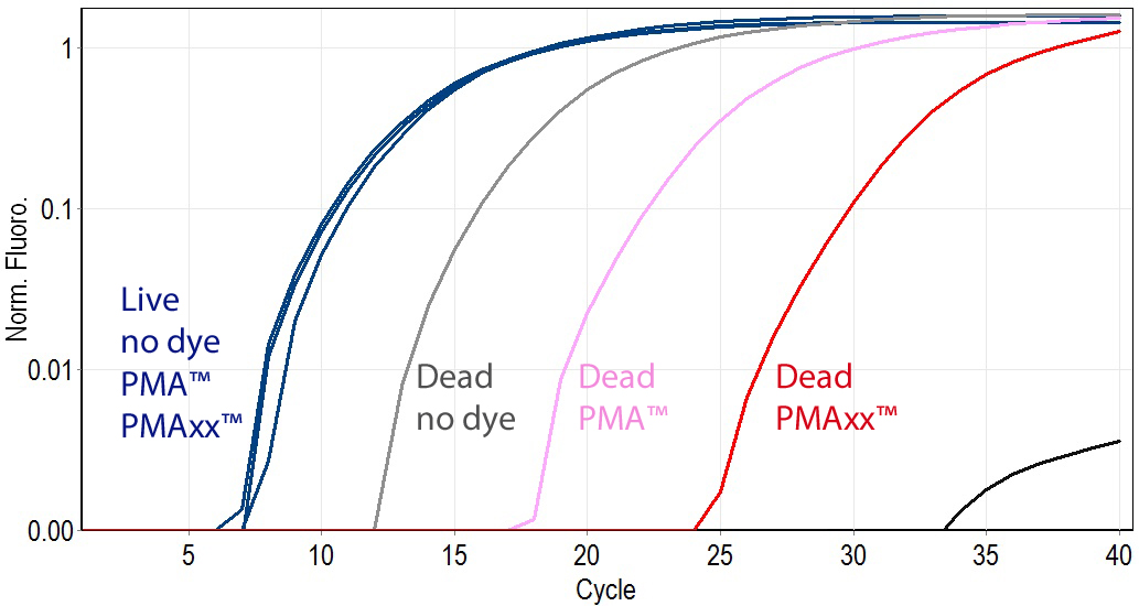 PMAxxâ¢ Dye, 20 mM in H<sub>2</sub>O - Image 4
