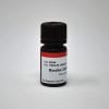Hoechst 33342, 10 mg/mL in H2O