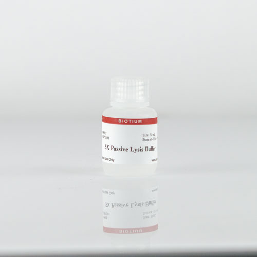 5X Passive Lysis Buffer