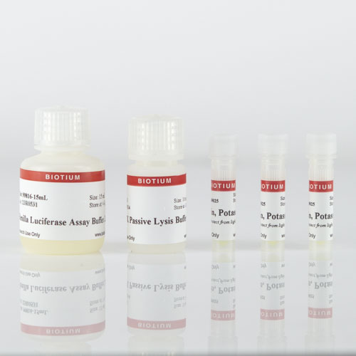 Renilla Luciferase Assay Kit 2.0