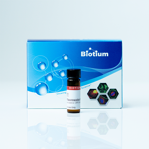 TMRE, 2 mM in DMSO