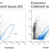 CellBrite® Steady Membrane Staining Kits - Image 17