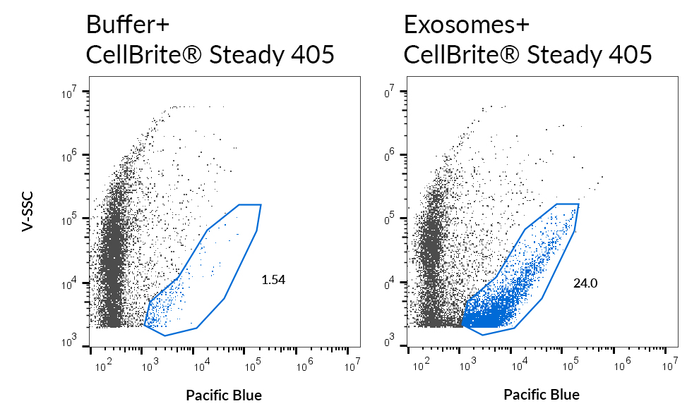 CellBrite® Steady Membrane Staining Kits - Image 17