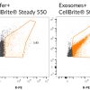 CellBrite® Steady Membrane Staining Kits - Image 14