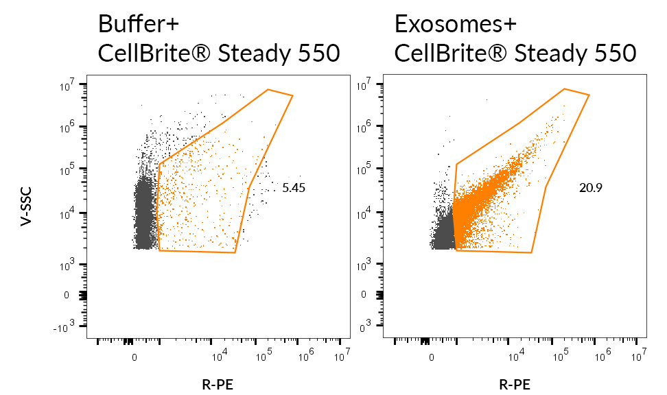 CellBrite® Steady Membrane Staining Kits - Image 14