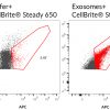 CellBrite® Steady Membrane Staining Kits - Image 15