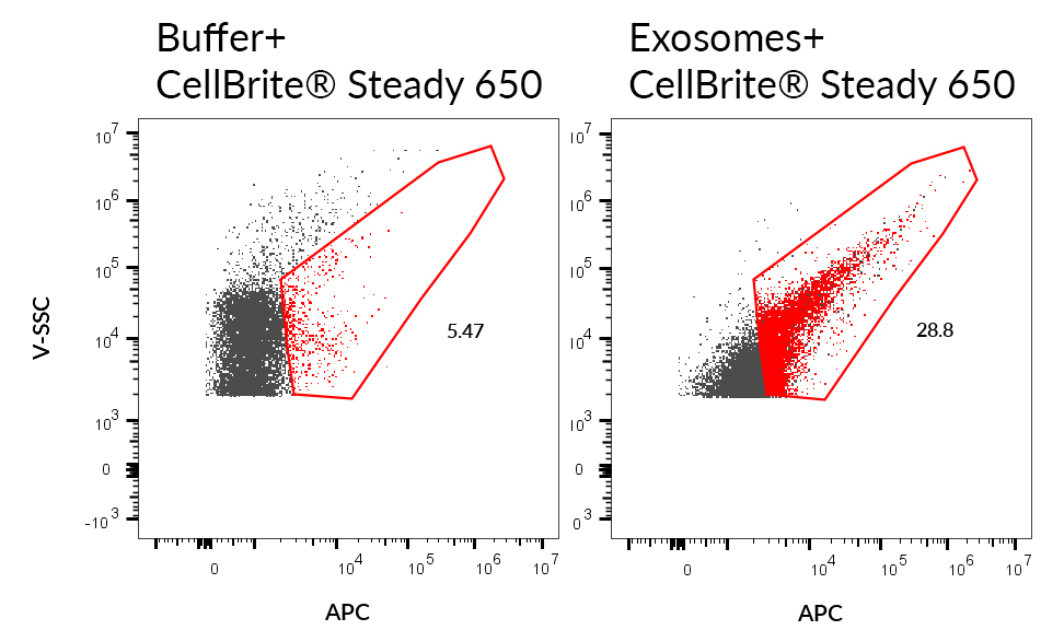 CellBrite® Steady Membrane Staining Kits - Image 15