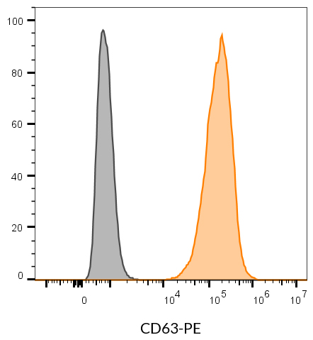 CD63 Monoclonal Mouse Antibody (H5C6) - Biotium Choice <svg class="svgicon svg-verified"><use xlink:href="#svg-verified"></use></svg> - Image 6