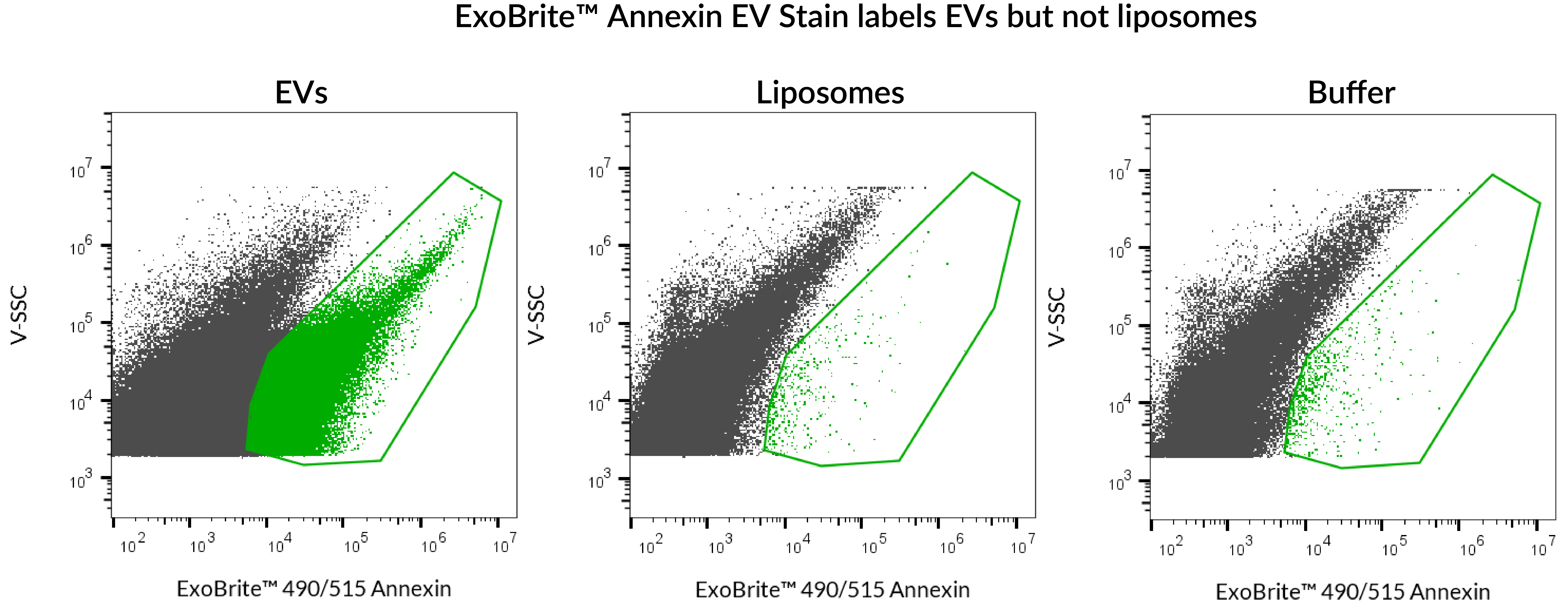 ExoBrite™ EV Surface Stain Sampler Kit, Green - Image 7