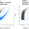 ExoBrite™ WGA EV Staining Kits - Image 3