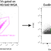 ExoBrite™ WGA EV Staining Kits - Image 9
