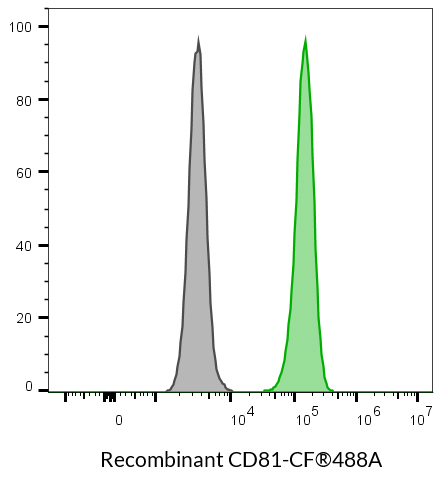 CD81 Recombinant Monoclonal Mouse Antibody (2304.81) - Biotium Choice <svg class="svgicon svg-verified"><use xlink:href="#svg-verified"></use></svg> - Image 6