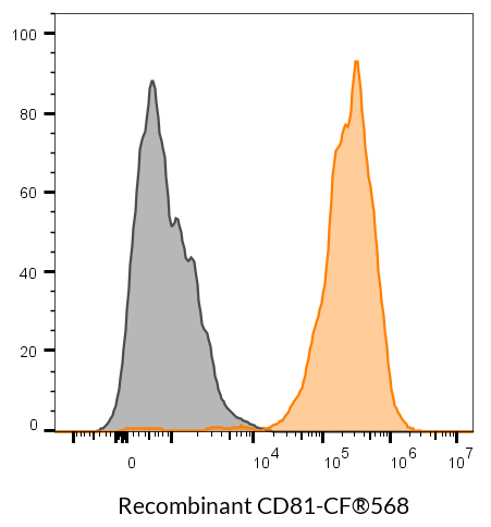 CD81 Recombinant Monoclonal Mouse Antibody (2304.81) - Biotium Choice <svg class="svgicon svg-verified"><use xlink:href="#svg-verified"></use></svg> - Image 7