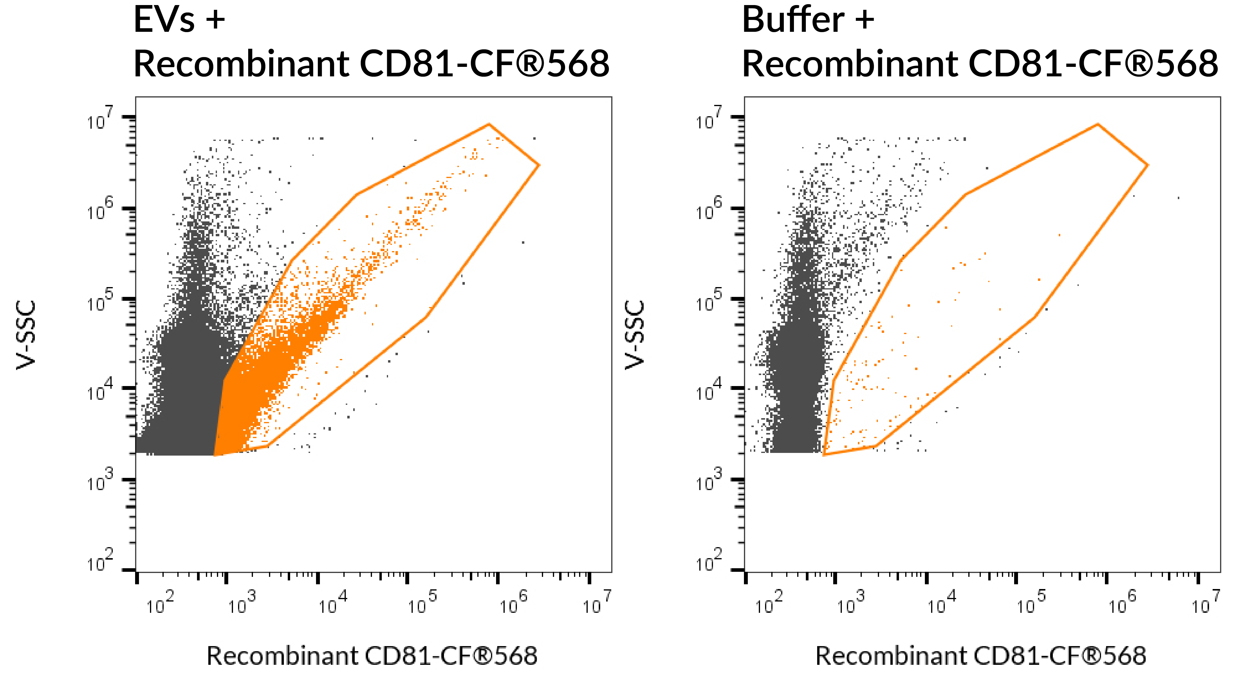 CD81 Recombinant Monoclonal Mouse Antibody (2304.81) - Biotium Choice <svg class="svgicon svg-verified"><use xlink:href="#svg-verified"></use></svg> - Image 3