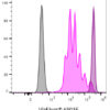 ViaFluor® SE Cell Proliferation Kits - Image 5