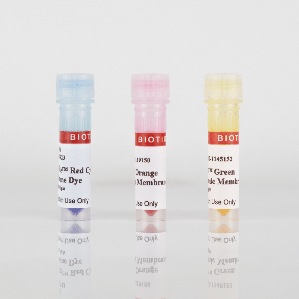 CellBrite® Cytoplasmic Membrane Dyes