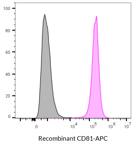 CD81 Recombinant Monoclonal Mouse Antibody (2304.81) - Biotium Choice <svg class="svgicon svg-verified"><use xlink:href="#svg-verified"></use></svg> - Image 10